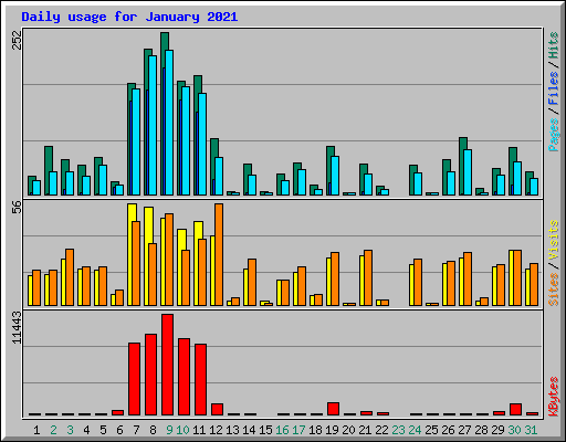 Daily usage for January 2021