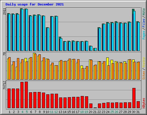 Daily usage for December 2021