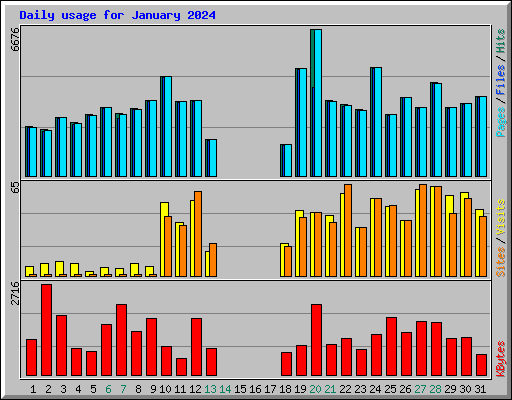 Daily usage for January 2024