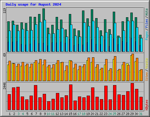 Daily usage for August 2024