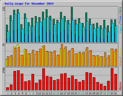 Daily usage for December 2024