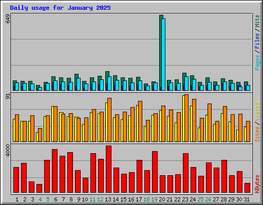 Daily usage for January 2025
