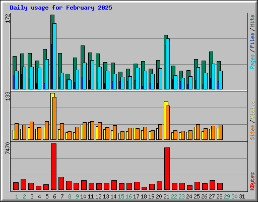 Daily usage for February 2025