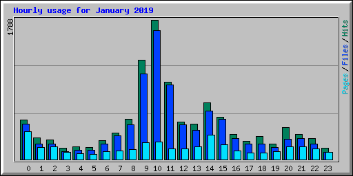 Hourly usage for January 2019