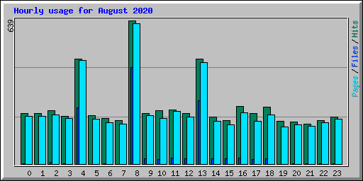 Hourly usage for August 2020