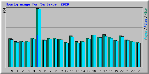 Hourly usage for September 2020
