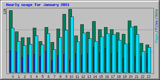 Hourly usage for January 2021