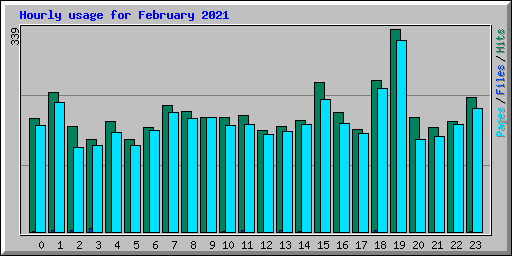 Hourly usage for February 2021