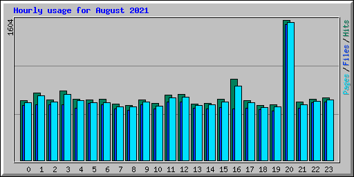 Hourly usage for August 2021
