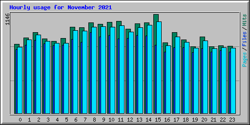 Hourly usage for November 2021