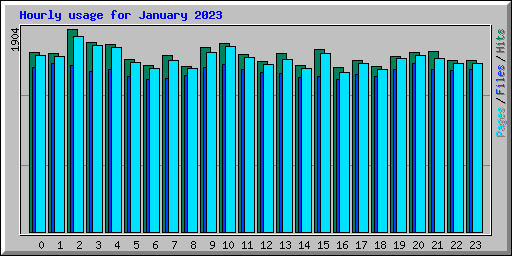 Hourly usage for January 2023