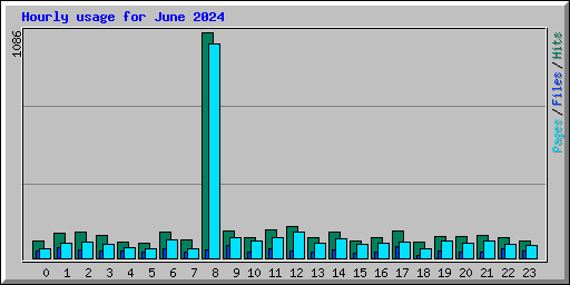 Hourly usage for June 2024