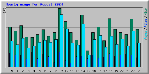 Hourly usage for August 2024