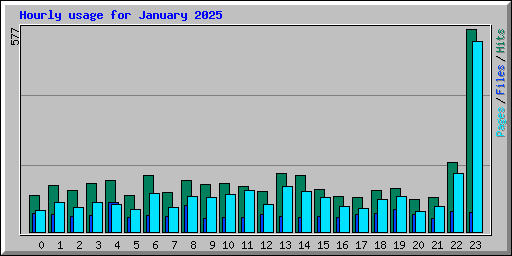 Hourly usage for January 2025