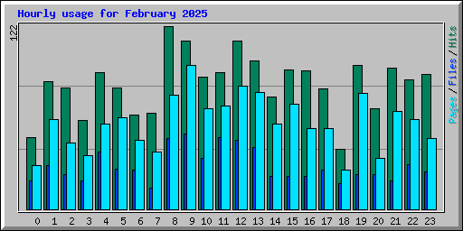 Hourly usage for February 2025