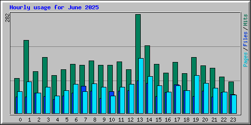Hourly usage for June 2025