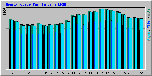 Hourly usage for January 2026