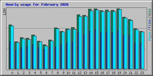 Hourly usage for February 2026